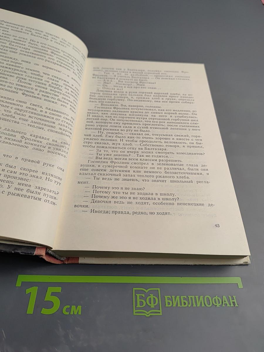 Между тремя поветриями