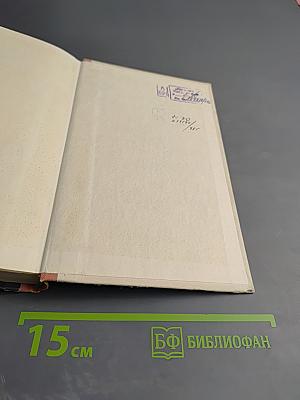 Между тремя поветриями