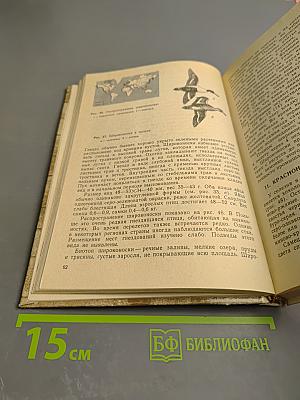 Пернатая дичь