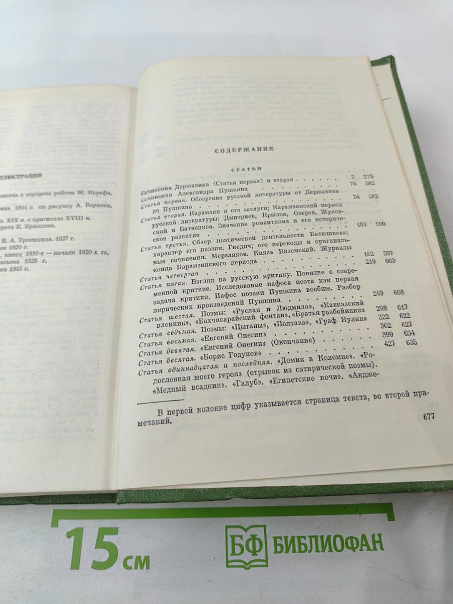 Собрание сочинений. Том шестой. Статьи о Державине, Статьи о Пушкине, Незаконченные работы