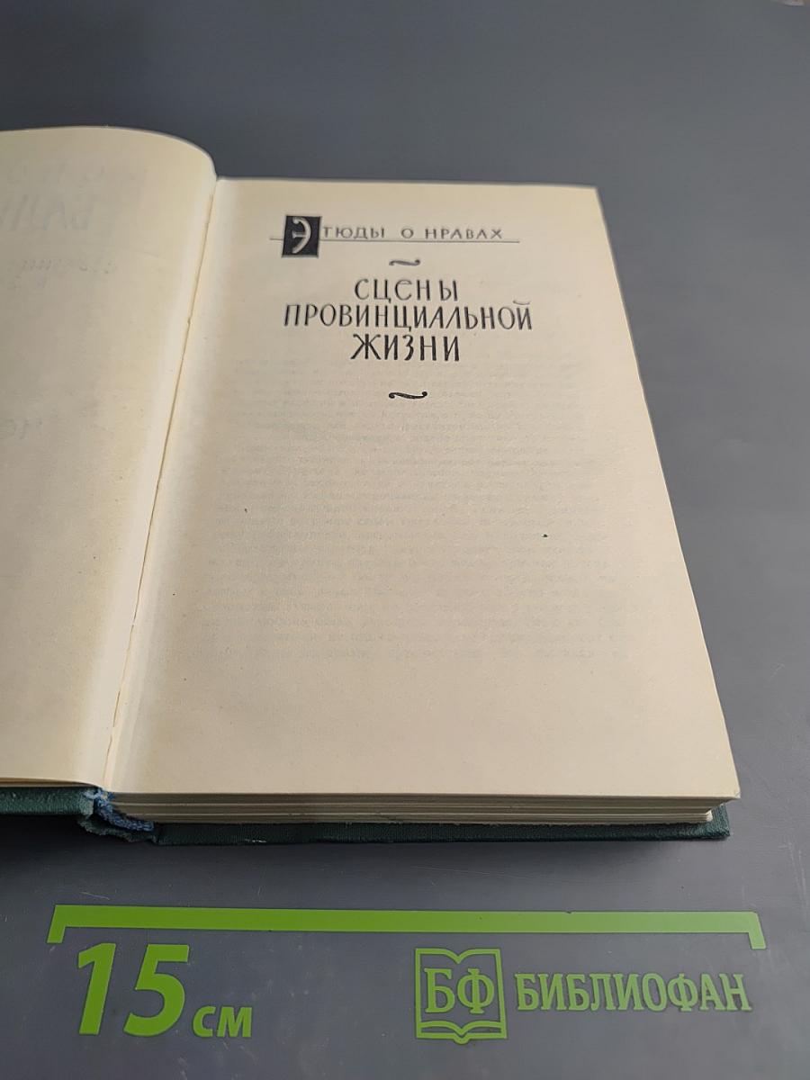 Человеческая комедия. Том 9: Сцены провинциальной жизни