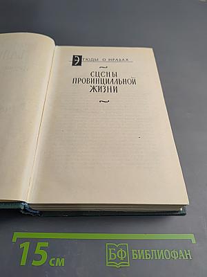 Человеческая комедия. Том 9: Сцены провинциальной жизни