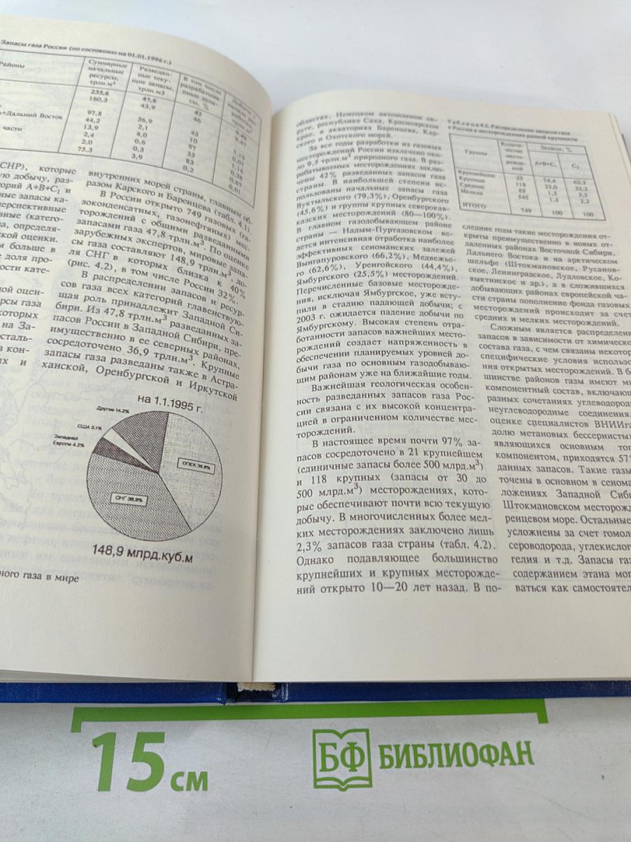 Стратегия развития газовой промышленности России