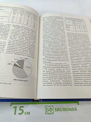 Стратегия развития газовой промышленности России