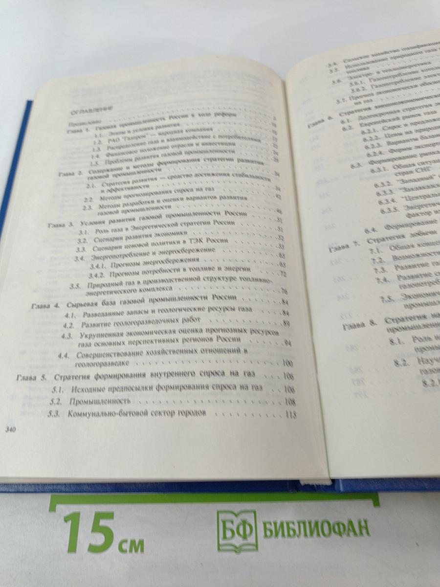 Стратегия развития газовой промышленности России