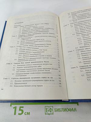 Стратегия развития газовой промышленности России