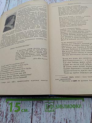 Зарубежная литература XIX века. Романтизм. Хрестоматия