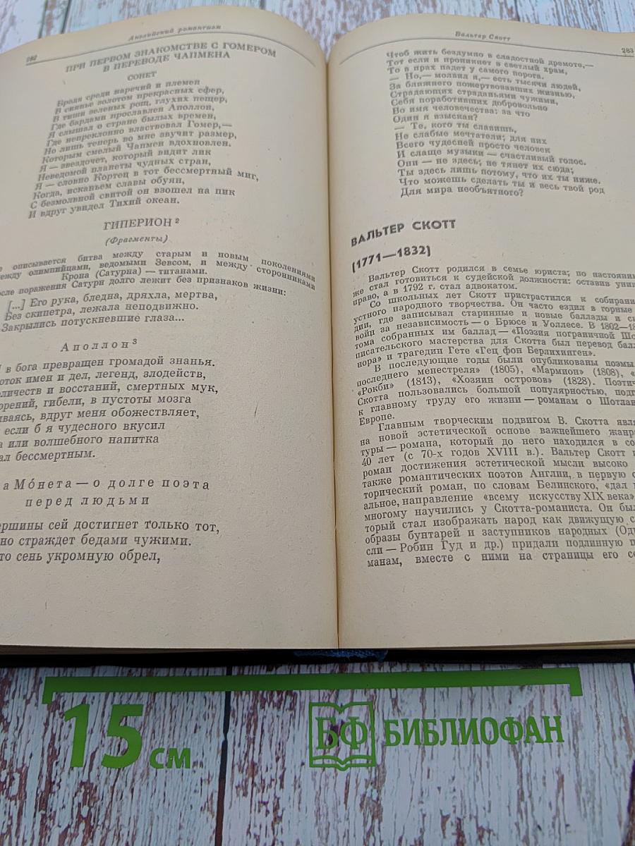 Зарубежная литература XIX века. Романтизм. Хрестоматия