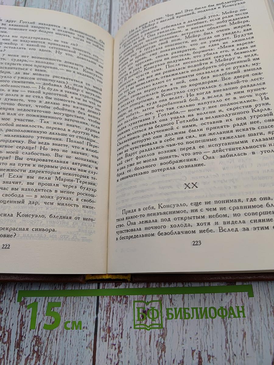 Графиня Рудольштадт