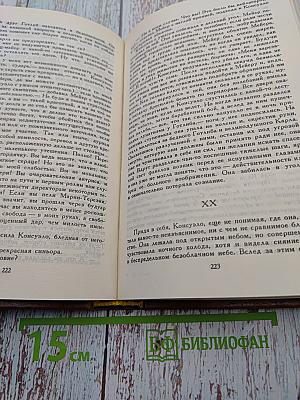 Графиня Рудольштадт