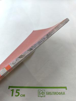 Межнациональный конфликт: понятие, динамика, механизм разрешения