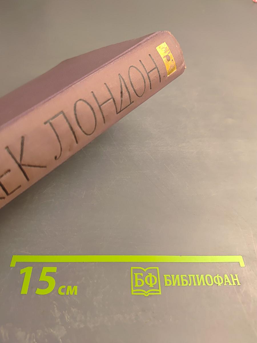 Собрание сочинений в четырнадцати томах. Том 8. Время-не-ждет