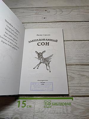 Заколдованный сон