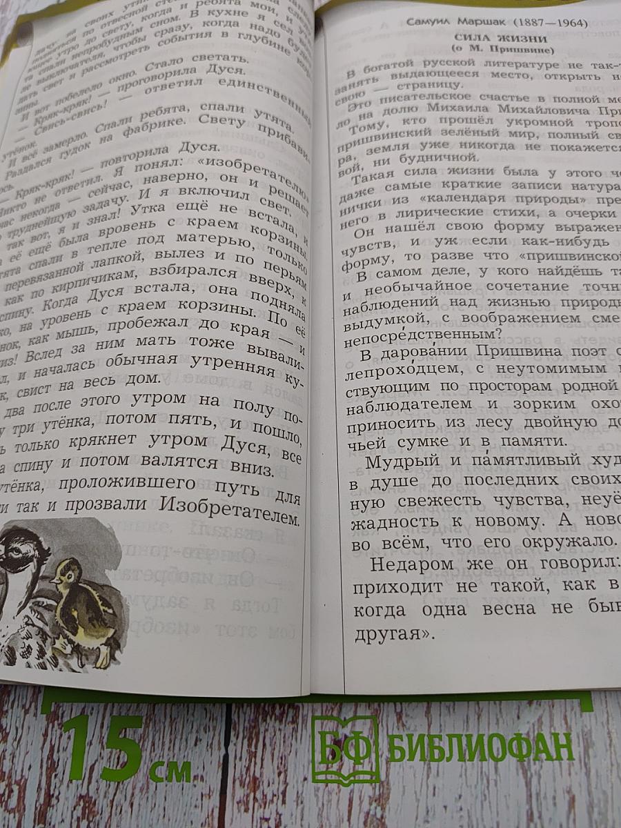 Литературное чтение. 4 класс. Часть 2. В океане света