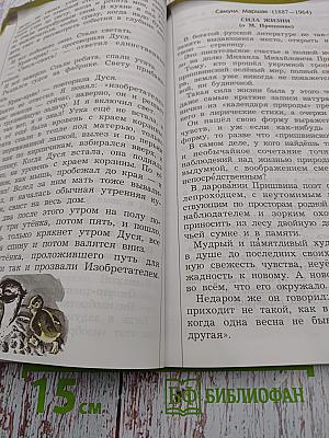 Литературное чтение. 4 класс. Часть 2. В океане света