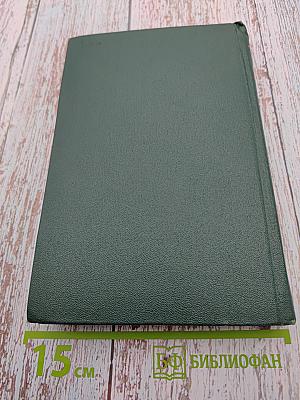 Массовая культура