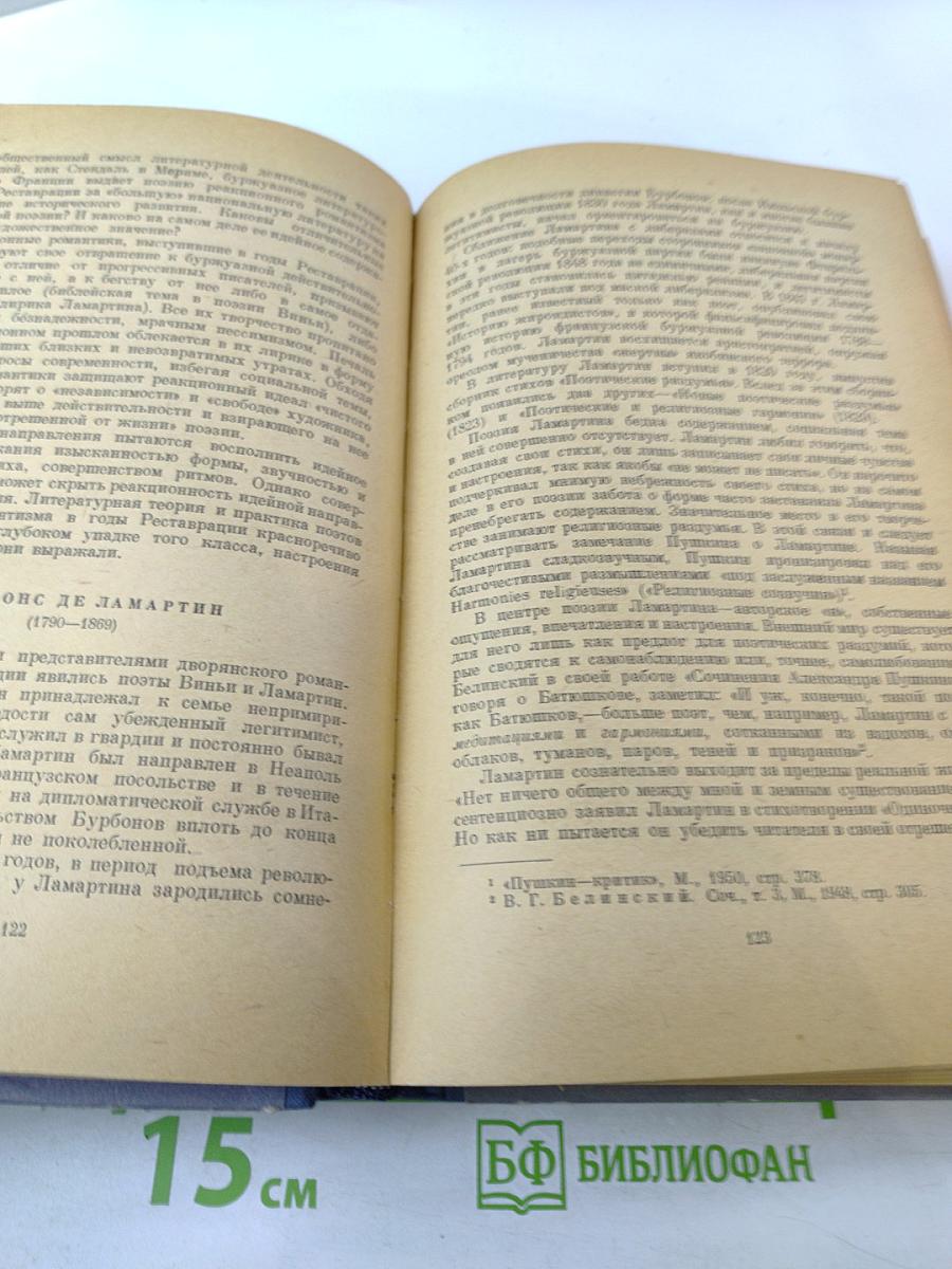 История зарубежных литератур XIX века. Том I