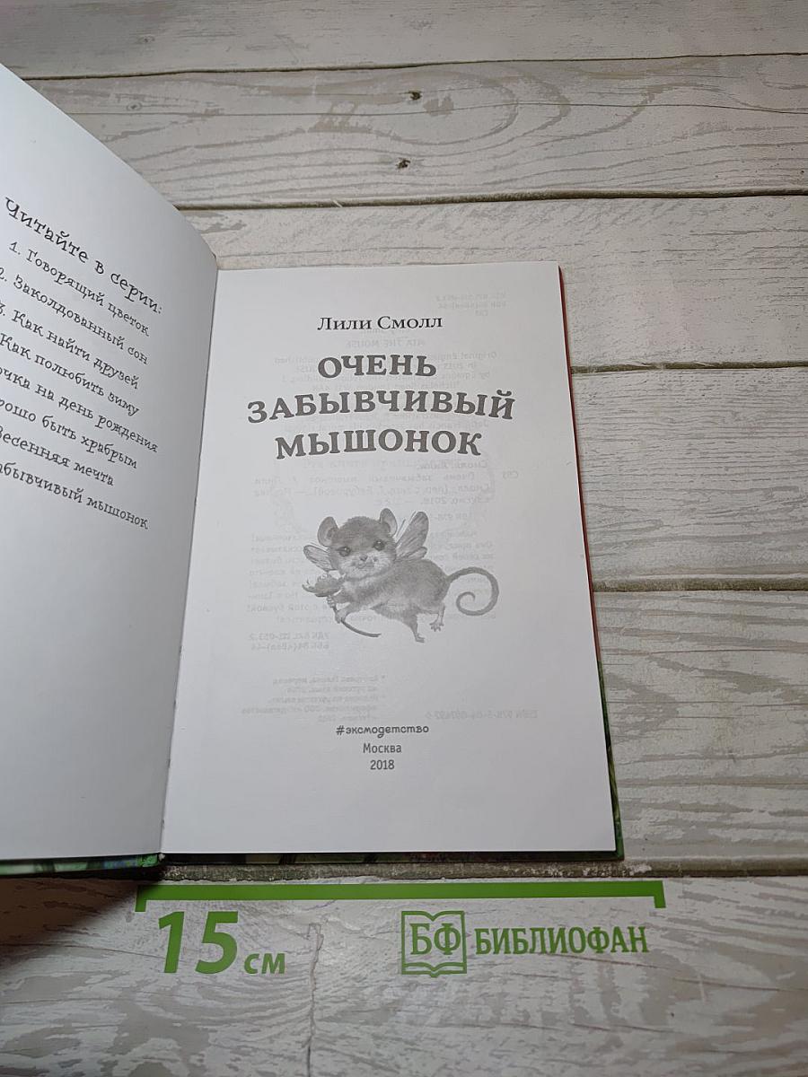 Очень забывчивый мышонок