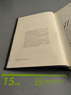 Блокада. Книга пятая