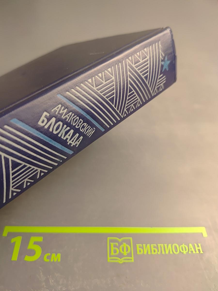 Блокада. Книга пятая