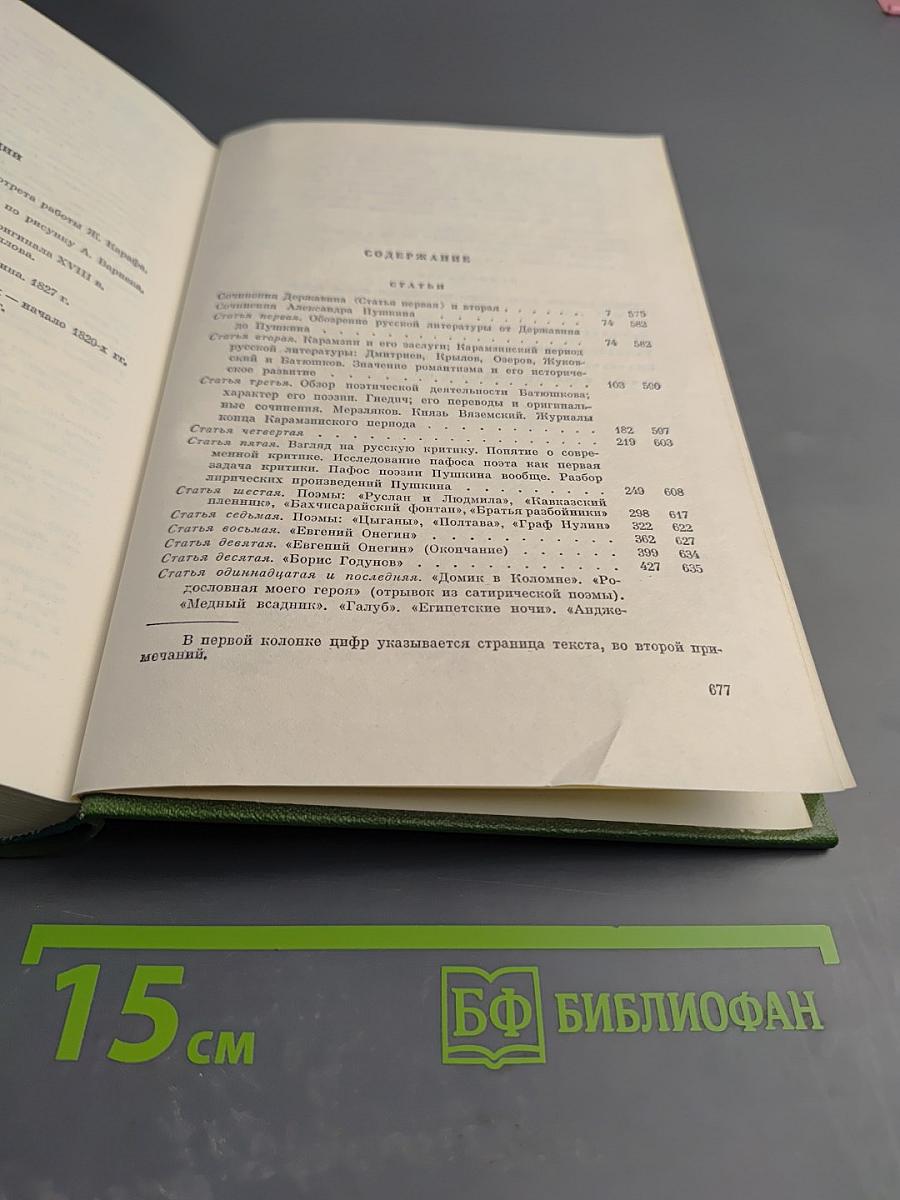 Собрание сочинений. Том 6. Статьи о Державине. Статьи о Пушкине. Незаконченные работы