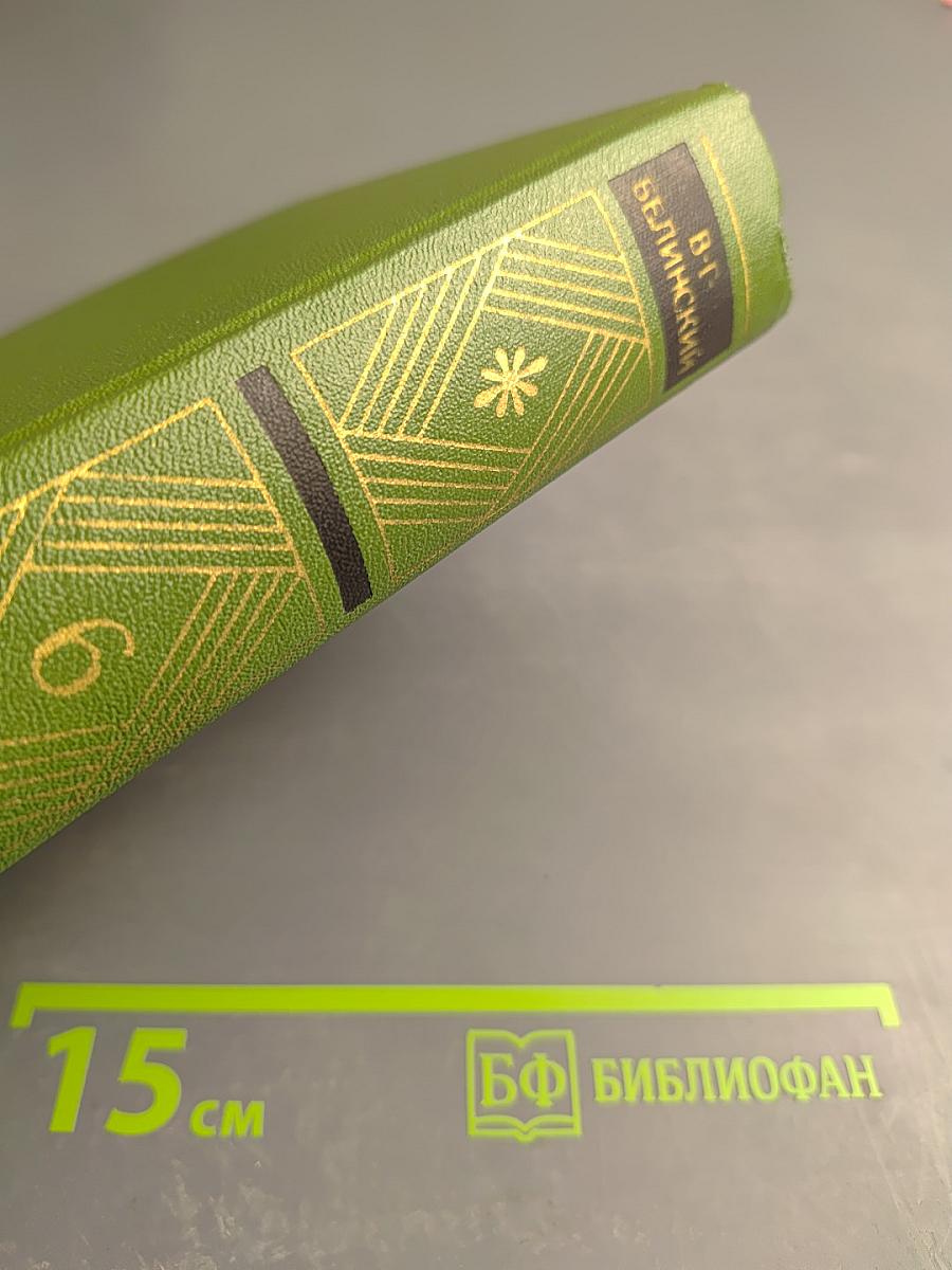 Собрание сочинений. Том 6. Статьи о Державине. Статьи о Пушкине. Незаконченные работы