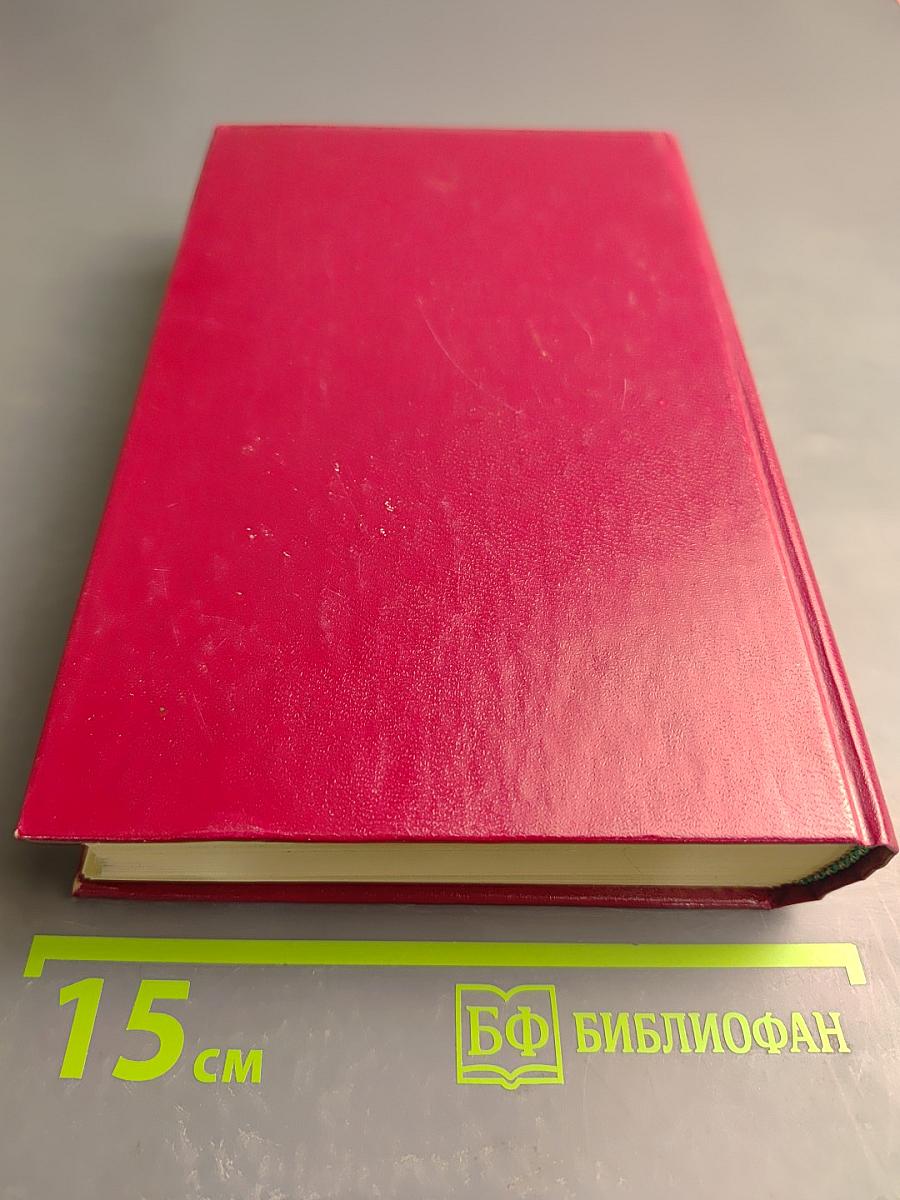 Смутная пора. Горы и звезды. Том второй