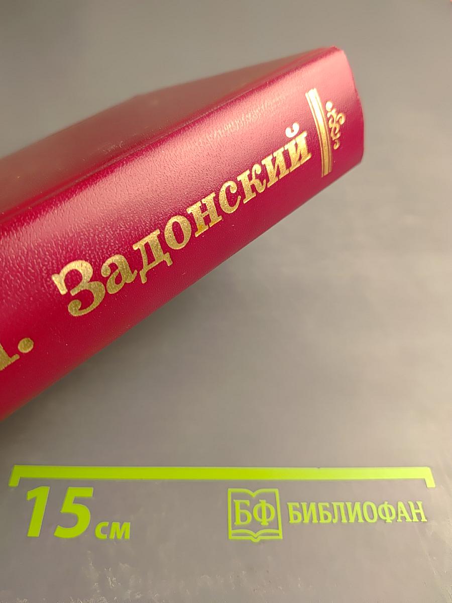 Смутная пора. Горы и звезды. Том второй