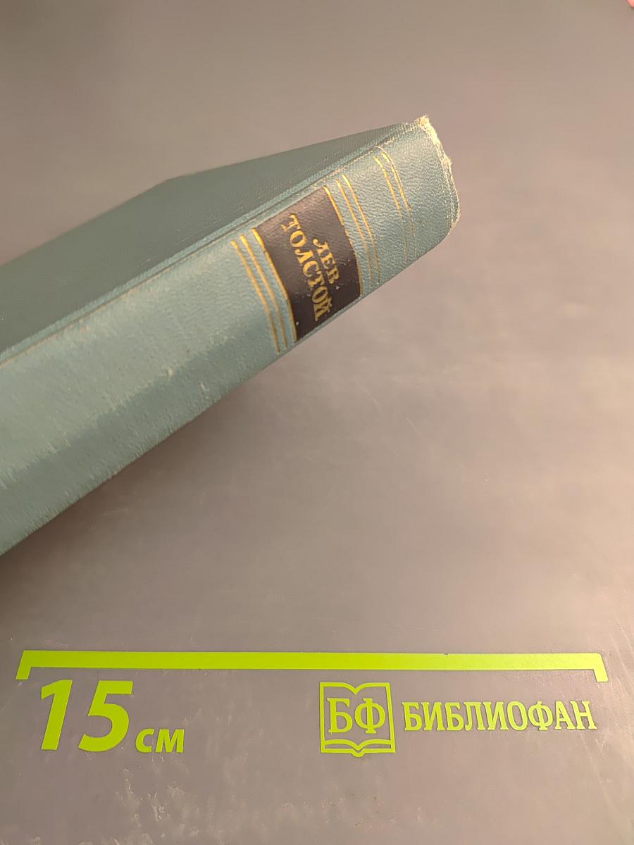 Анна Каренина. Том девятый