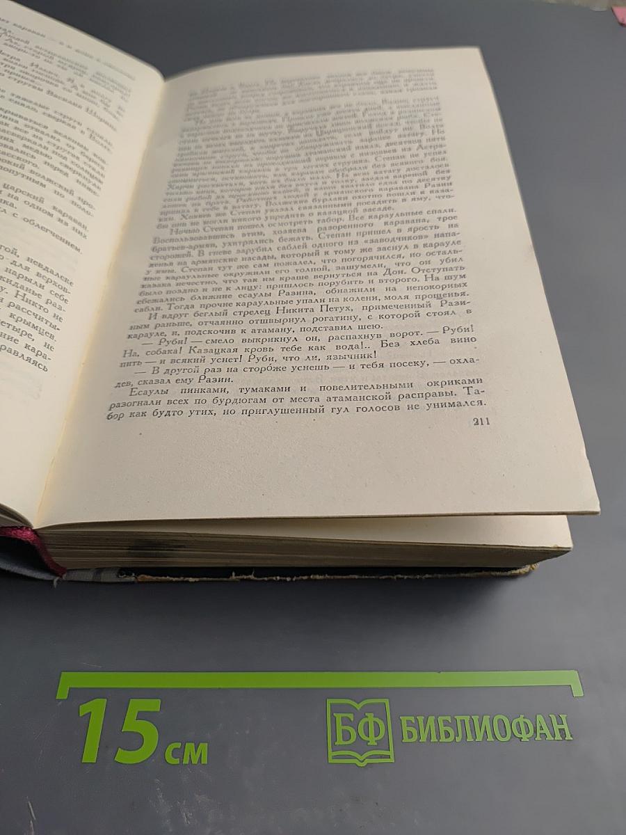 Степан Разин