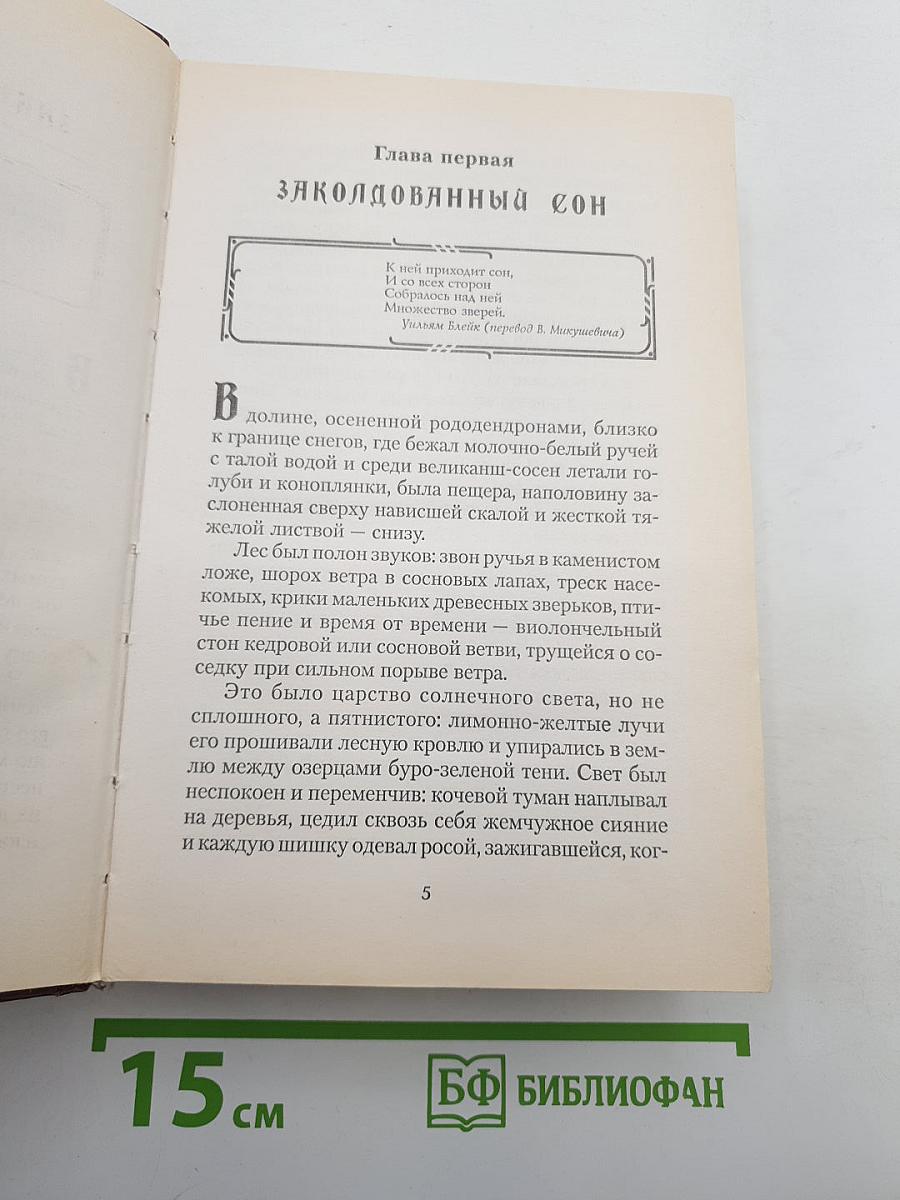 Янтарный телескоп