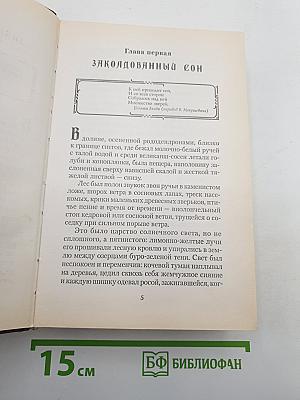 Янтарный телескоп