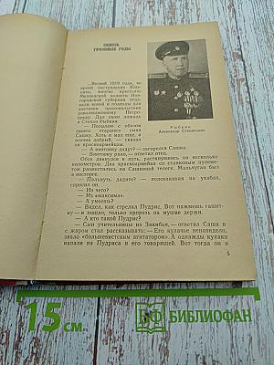 Герои земли Новгородской