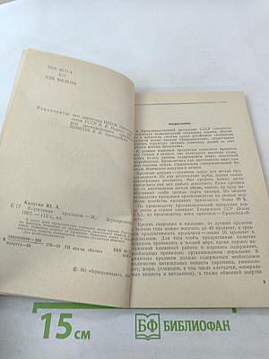 Кормление кроликов