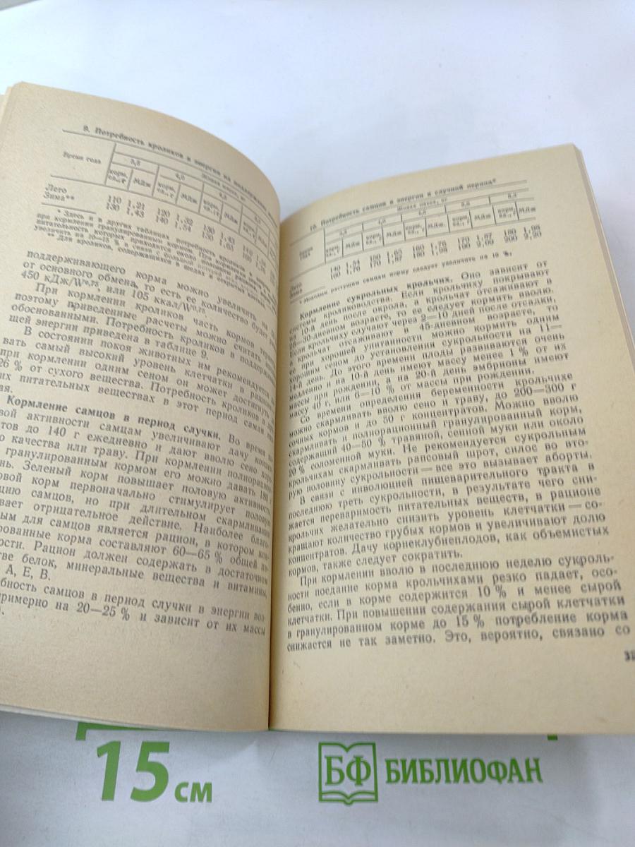 Кормление кроликов