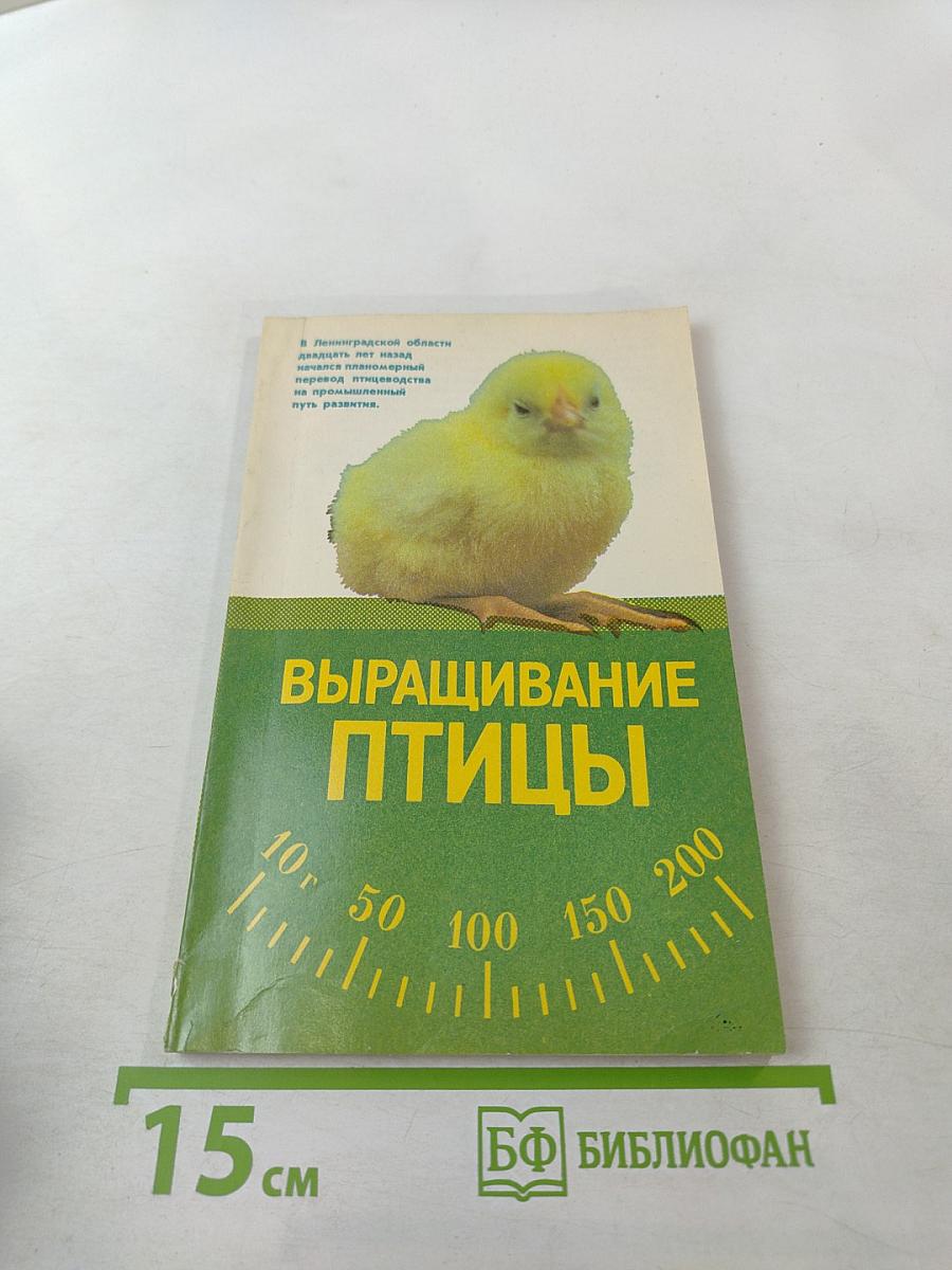 Выращивание птицы