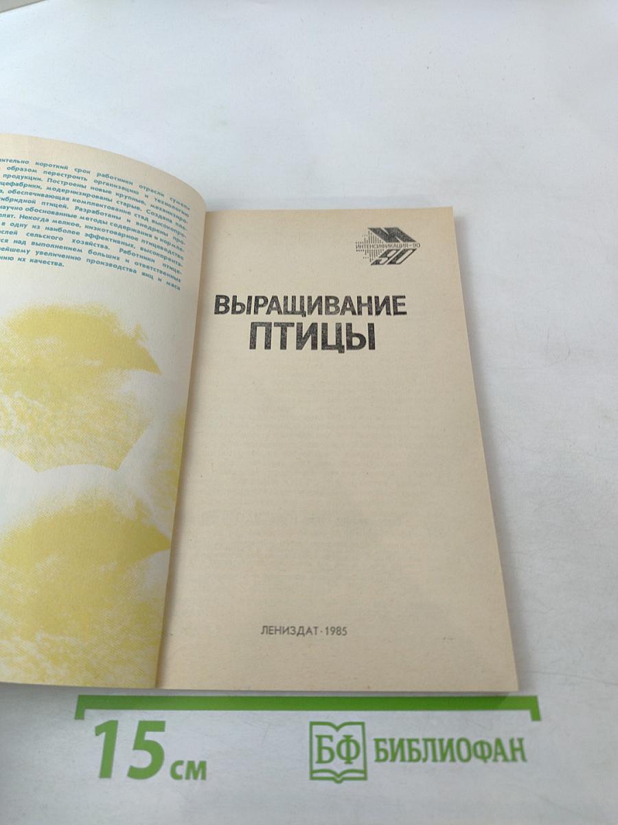 Выращивание птицы