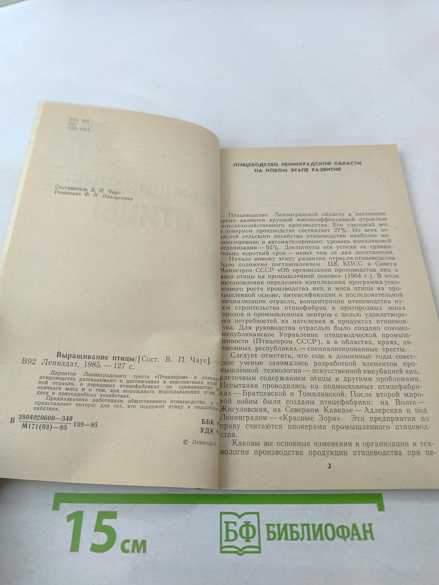 Выращивание птицы