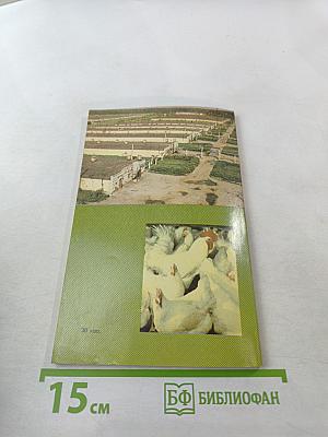 Выращивание птицы