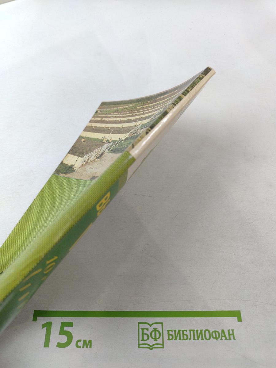 Выращивание птицы