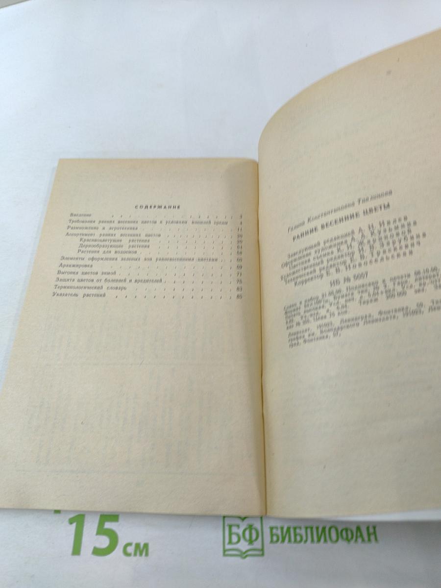 Ранние весенние цветы