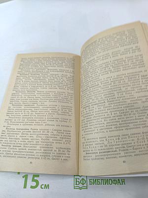 Ранние весенние цветы