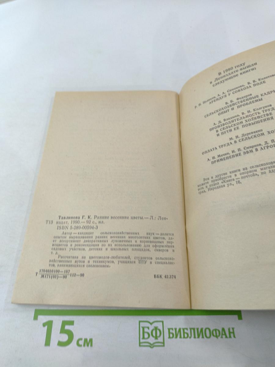 Ранние весенние цветы