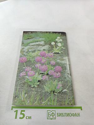 Ранние весенние цветы