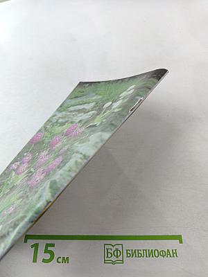 Ранние весенние цветы