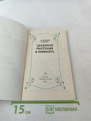 Целебные растения в комнате