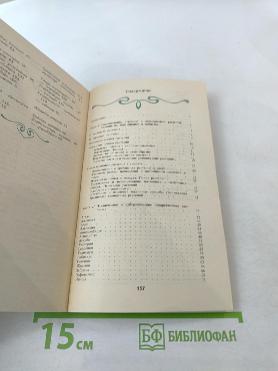 Целебные растения в комнате