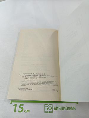 Целебные растения в комнате