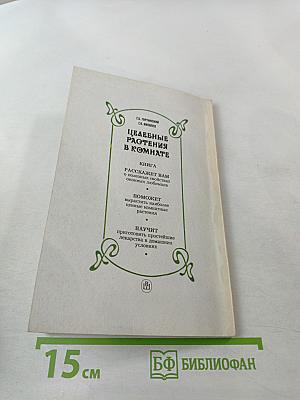 Целебные растения в комнате