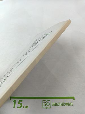 Целебные растения в комнате